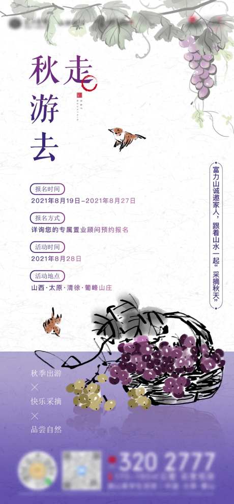 葡萄采摘周末活动海报-采灵感-https://www.cailinggan.com/