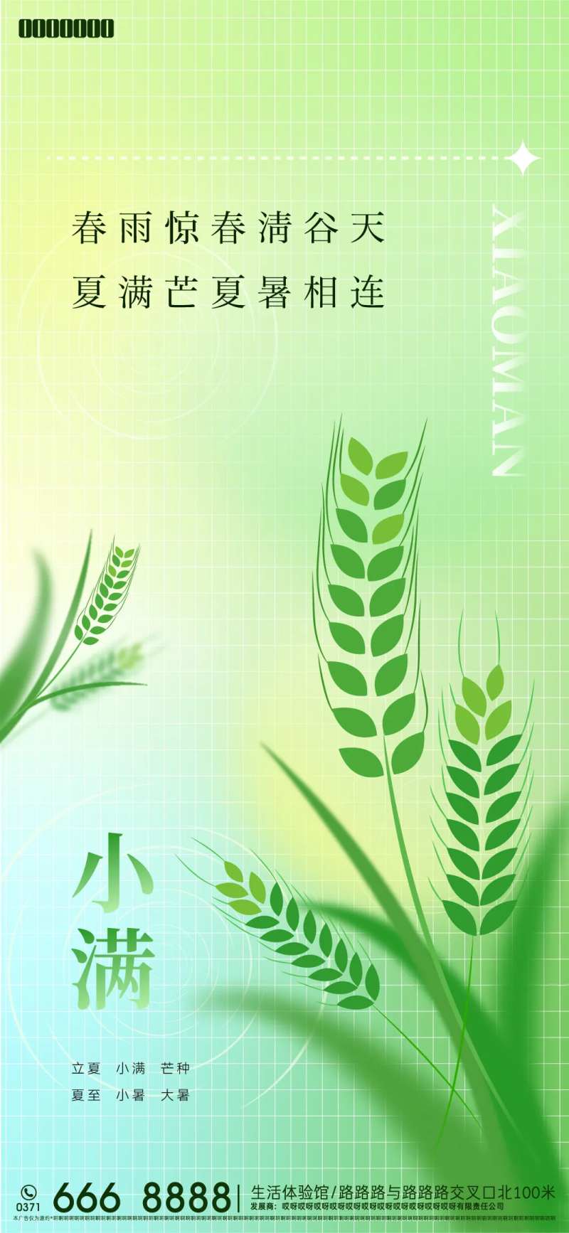 小满海报-采灵感-cailinggan.com