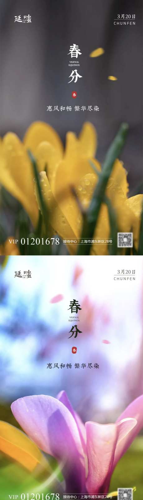 清新自然春分立夏节气系列海报-采灵感-https://www.cailinggan.com/