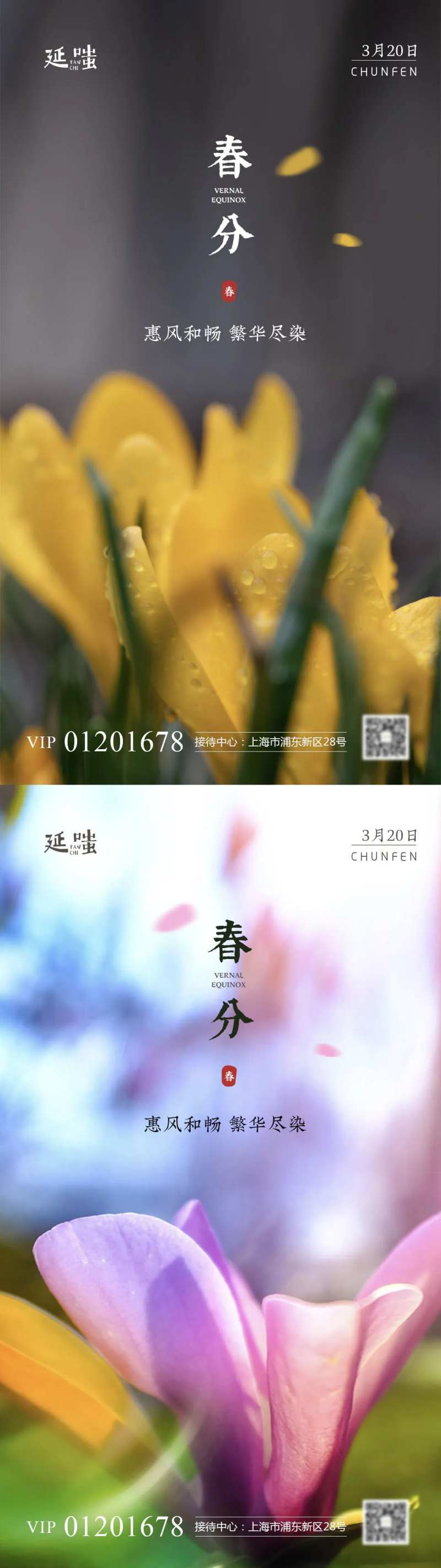 清新自然春分立夏节气系列海报-采灵感-cailinggan.com