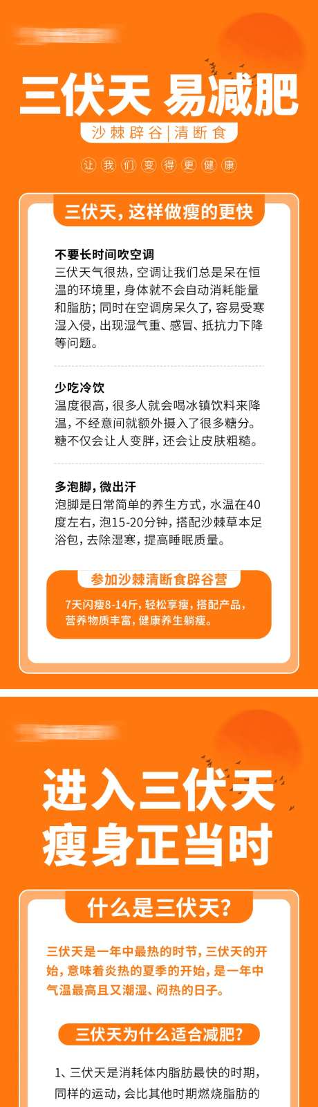 三伏养生减肥海报-采灵感-https://www.cailinggan.com/