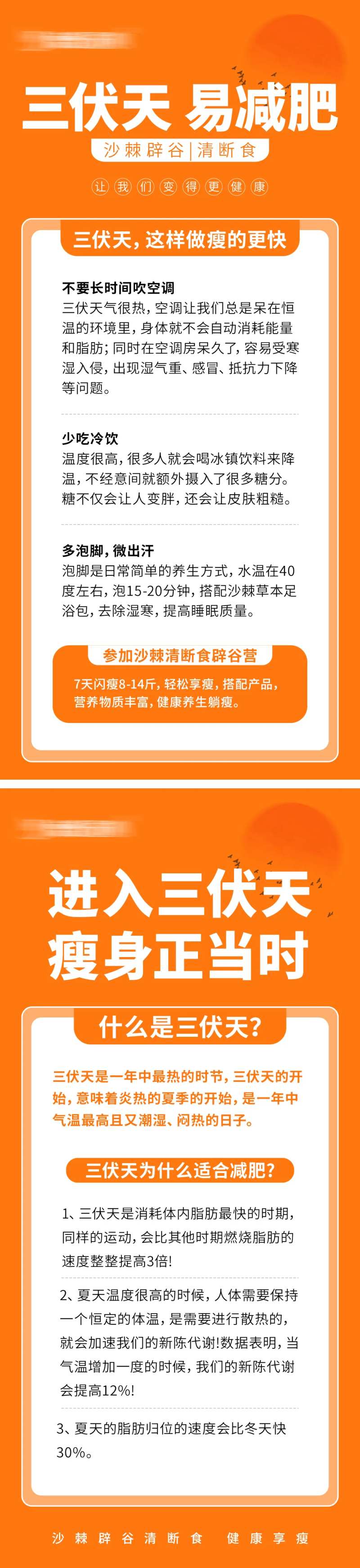 三伏养生减肥海报-采灵感-cailinggan.com
