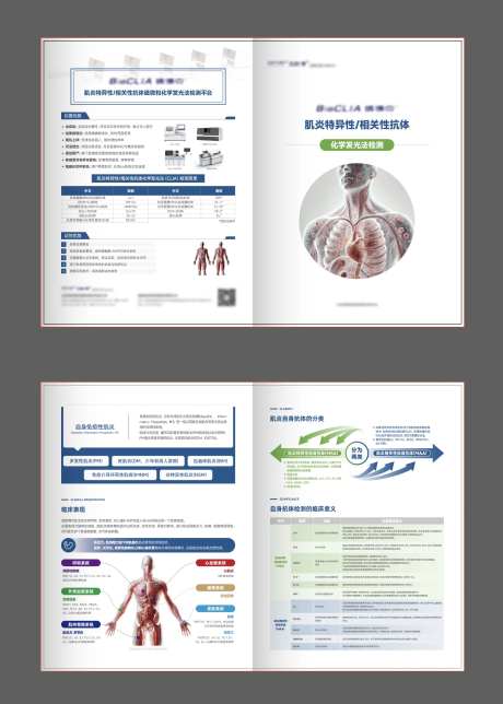 生物科技折页-采灵感-https://www.cailinggan.com/