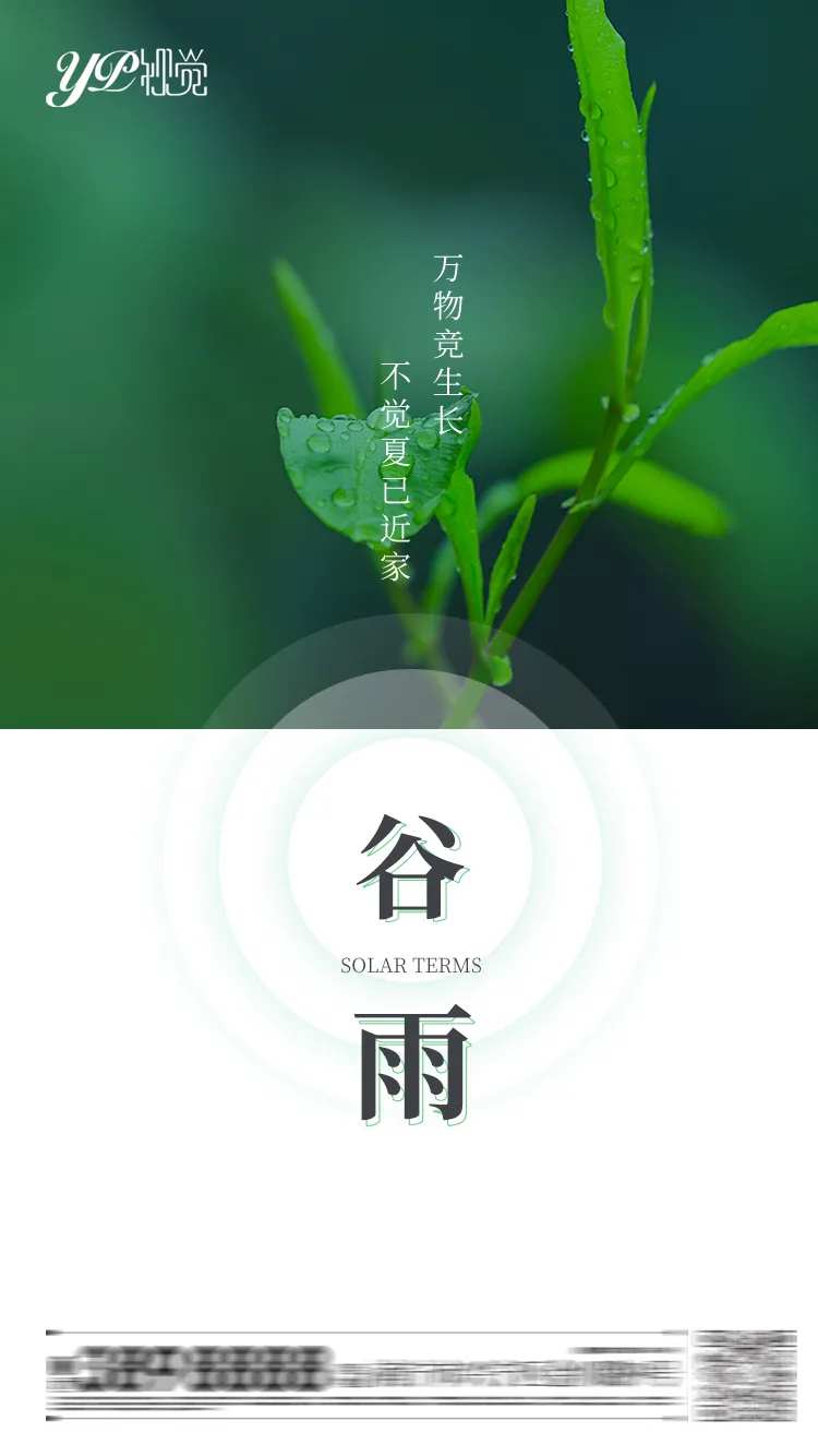 谷雨节气海报-采灵感-cailinggan.com
