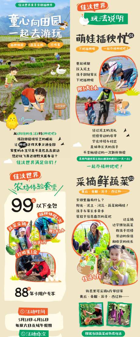 农业研学水稻插秧长图-采灵感-https://www.cailinggan.com/