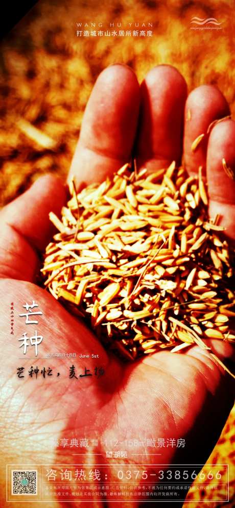 芒种收获季节海报-采灵感-https://www.cailinggan.com/