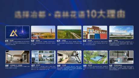 购房十大理由展板-采灵感-https://www.cailinggan.com/