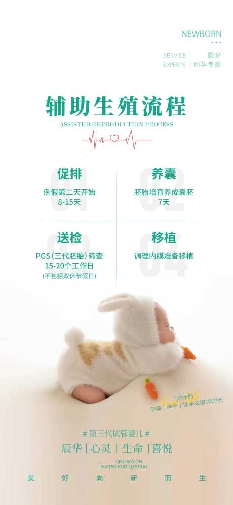 辅助生殖流程海报-采灵感-https://www.cailinggan.com/