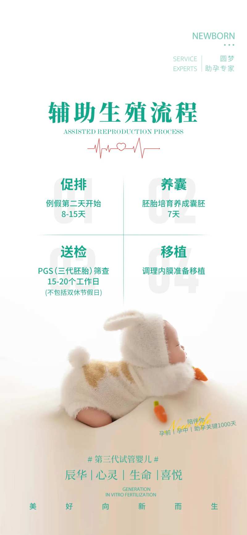 辅助生殖流程海报-采灵感-cailinggan.com