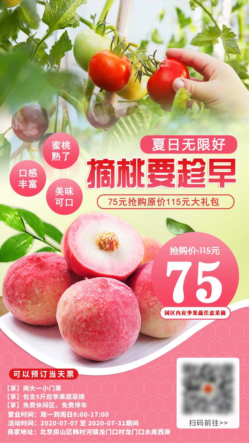 平谷水蜜桃西红柿采摘海报-采灵感-cailinggan.com