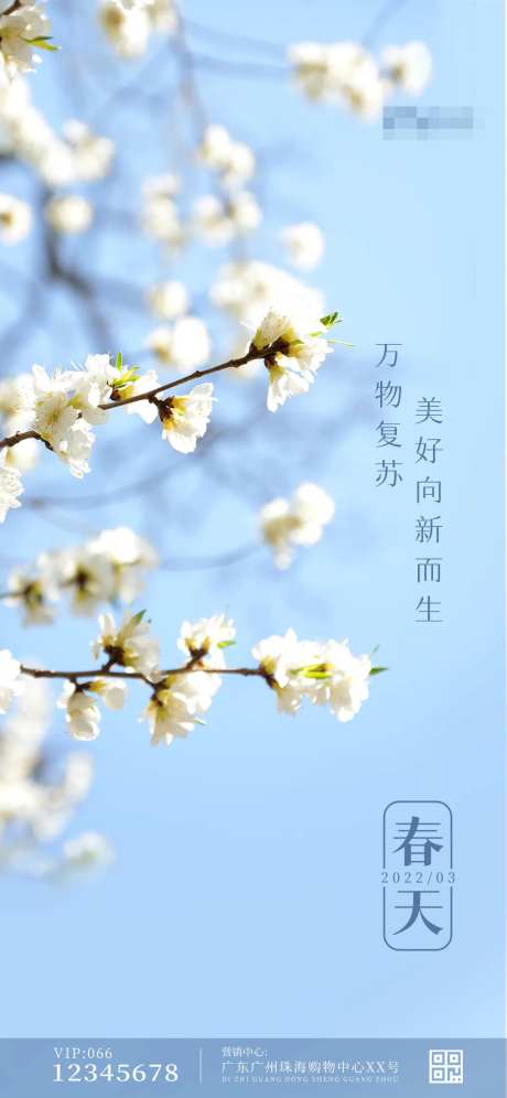 春天赏花移动端海报                                                                                                                                                                                               -采灵感-https://www.cailinggan.com/