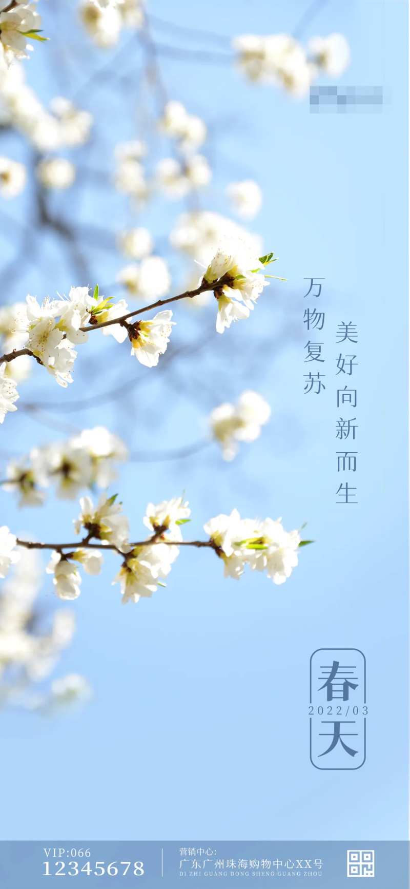 春天赏花移动端海报                                                                                                                                                                                               -采灵感-cailinggan.com