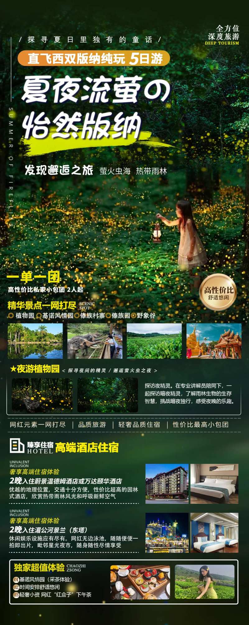 版纳夜游植物园-采灵感-cailinggan.com