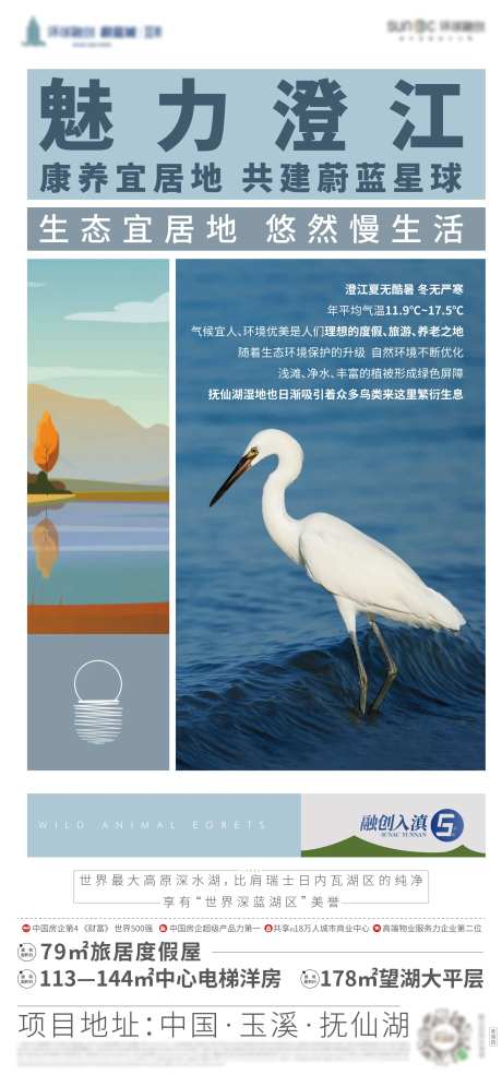 生物多样性海报-采灵感-https://www.cailinggan.com/
