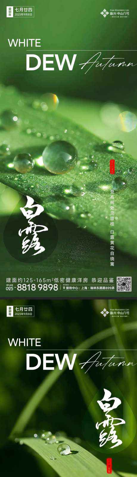 白露节气系列海报-采灵感-cailinggan.com