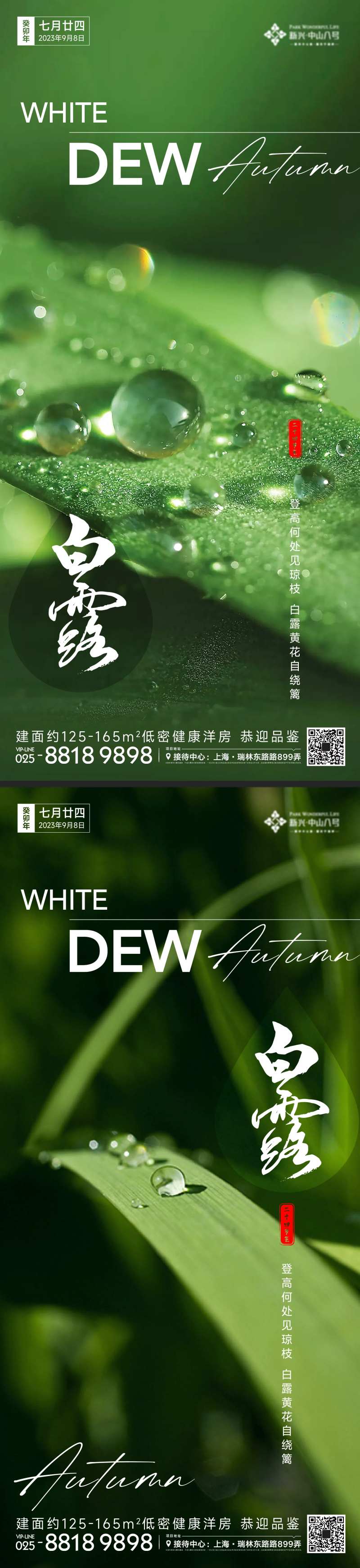 白露节气系列海报-采灵感-cailinggan.com