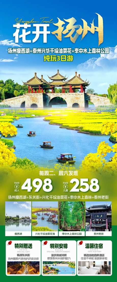 扬州兴化油菜花旅游海报-采灵感-https://www.cailinggan.com/