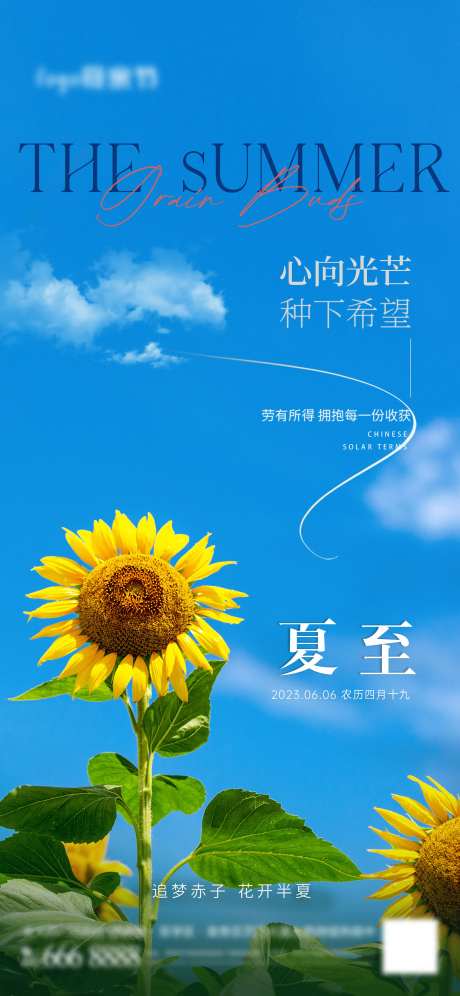 夏至节气海报-采灵感-cailinggan.com