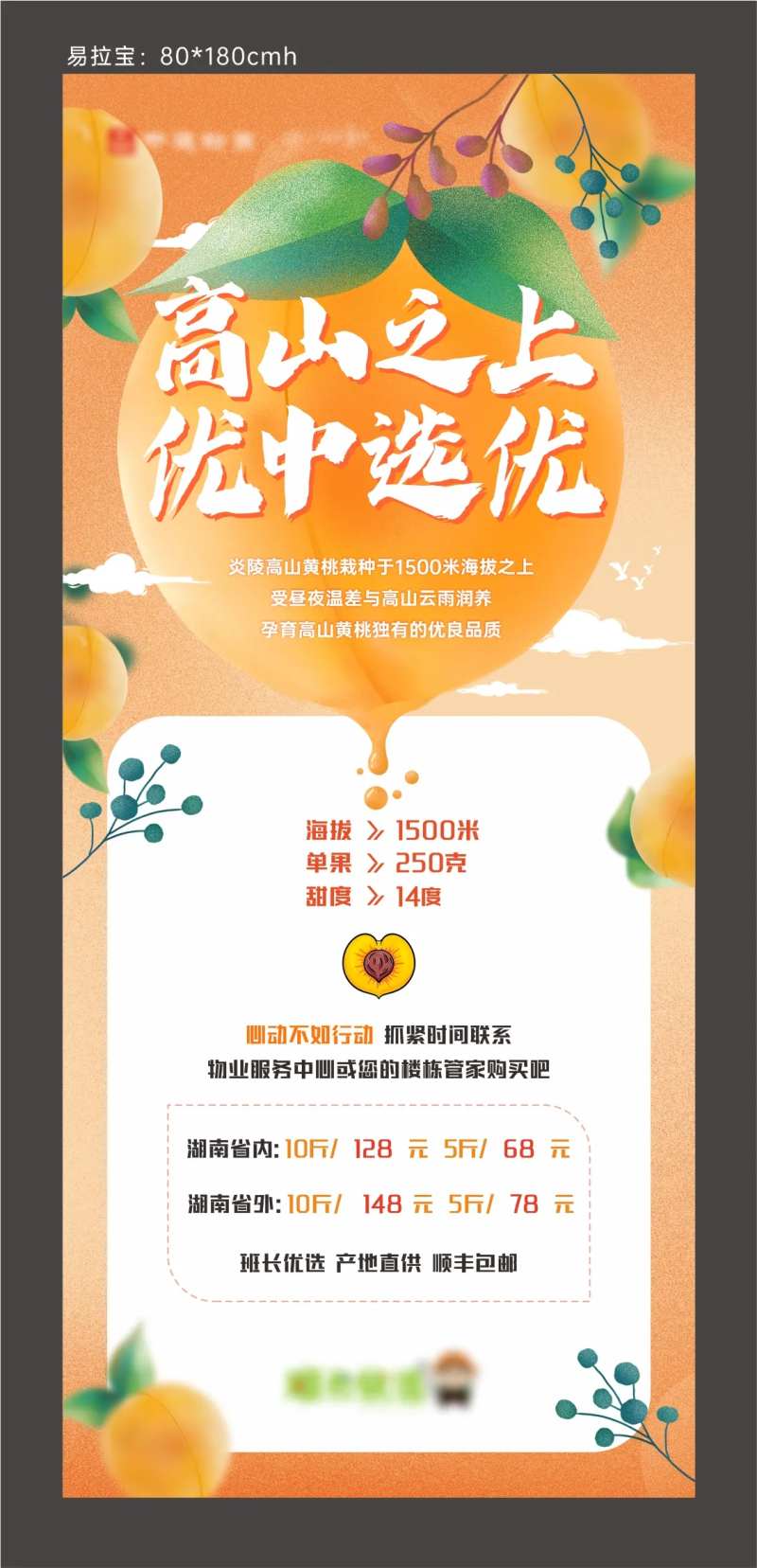 黄桃水果展架-采灵感-cailinggan.com