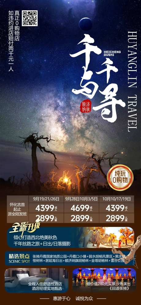 黑水城怪树林胡杨林-采灵感-https://www.cailinggan.com/