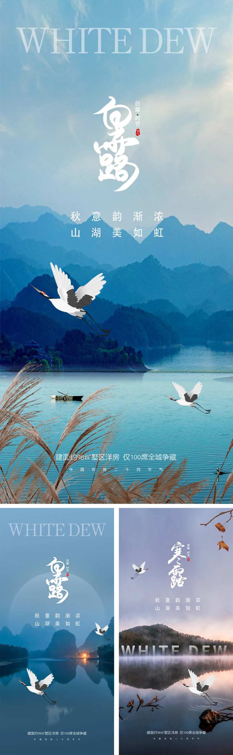 地产白鹭寒露节气海报-采灵感-cailinggan.com
