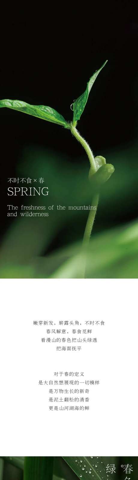 春日餐饮推文-采灵感-https://www.cailinggan.com/