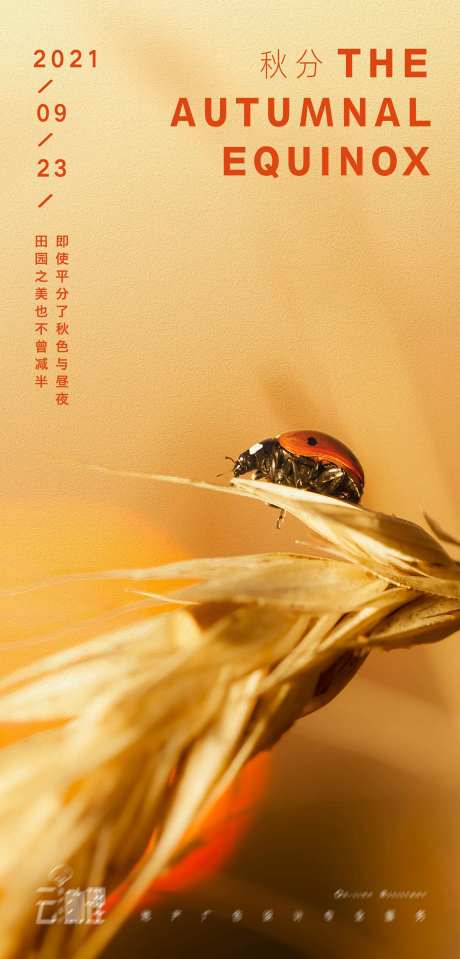 秋分秋日意境海报-采灵感-https://www.cailinggan.com/
