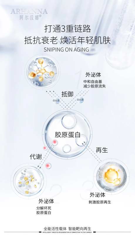 外泌体原理海报-采灵感-https://www.cailinggan.com/
