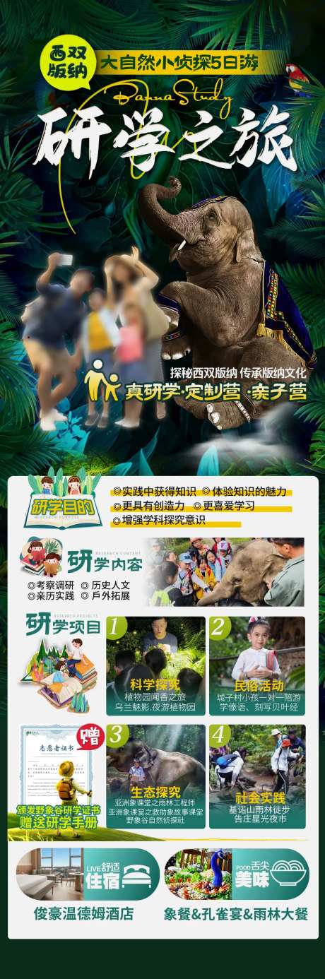 研学之旅-采灵感-https://www.cailinggan.com/