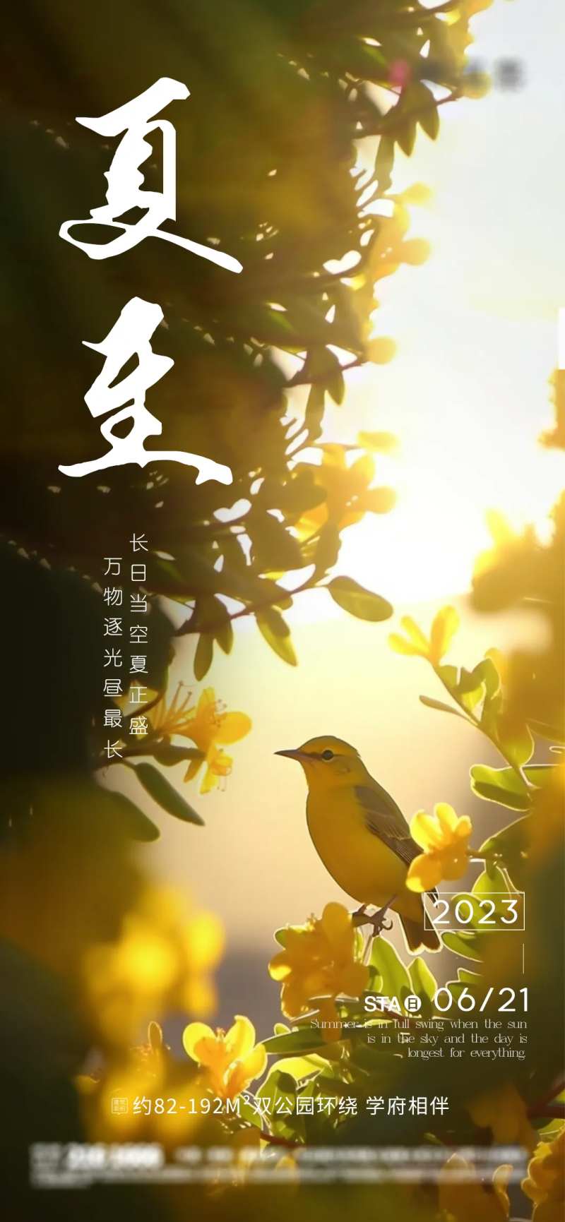 夏至暖阳海报-采灵感-cailinggan.com