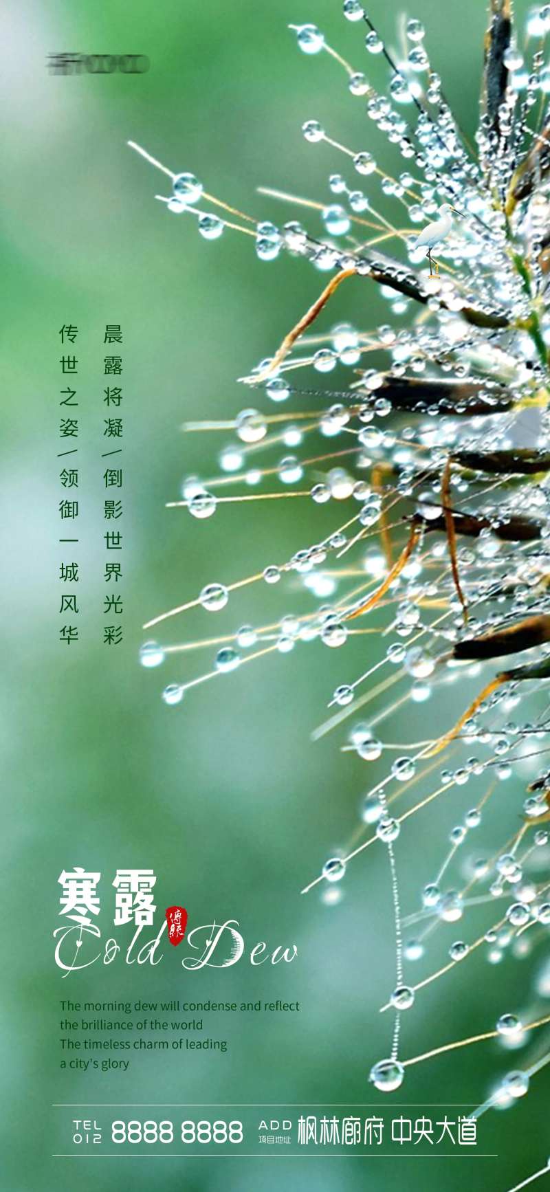寒露入秋露水节气海报-采灵感-cailinggan.com