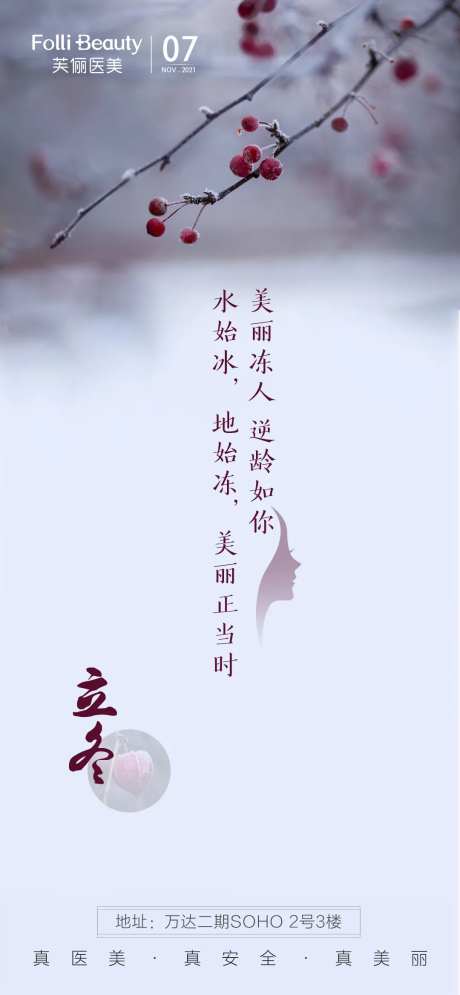医美立冬冬至海报-采灵感-https://www.cailinggan.com/