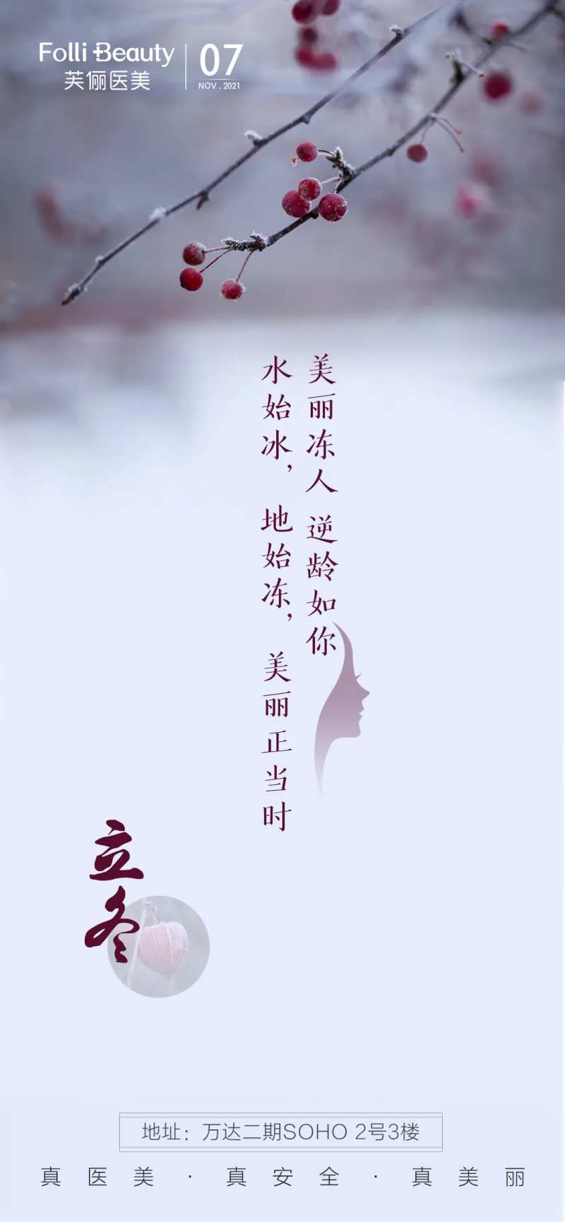 医美立冬冬至海报-采灵感-cailinggan.com