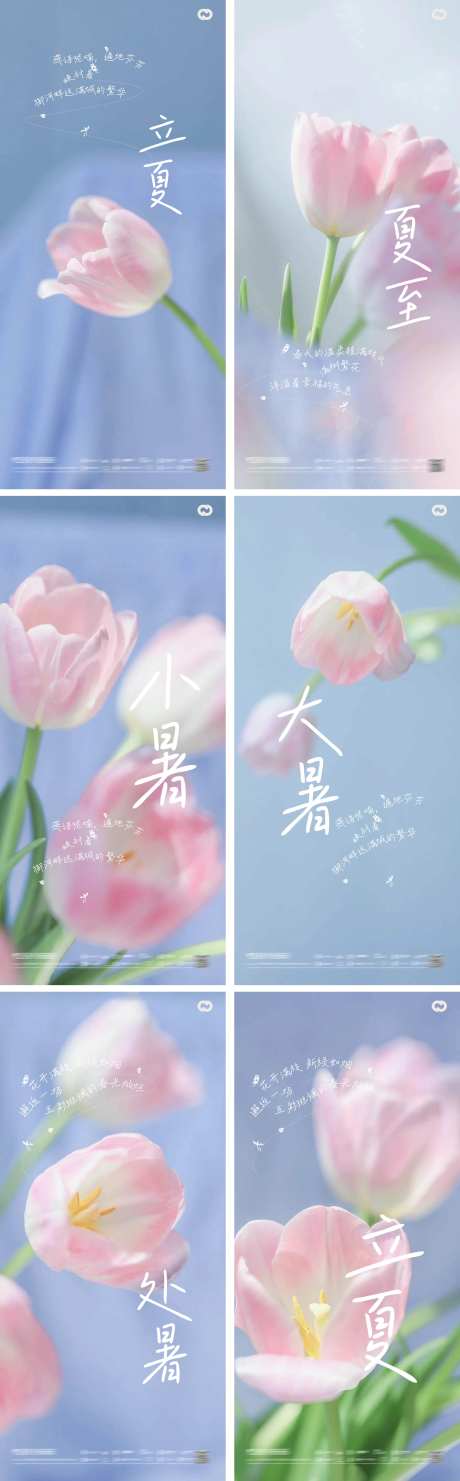 立夏夏至小暑大暑处暑花朵海报-采灵感-https://www.cailinggan.com/