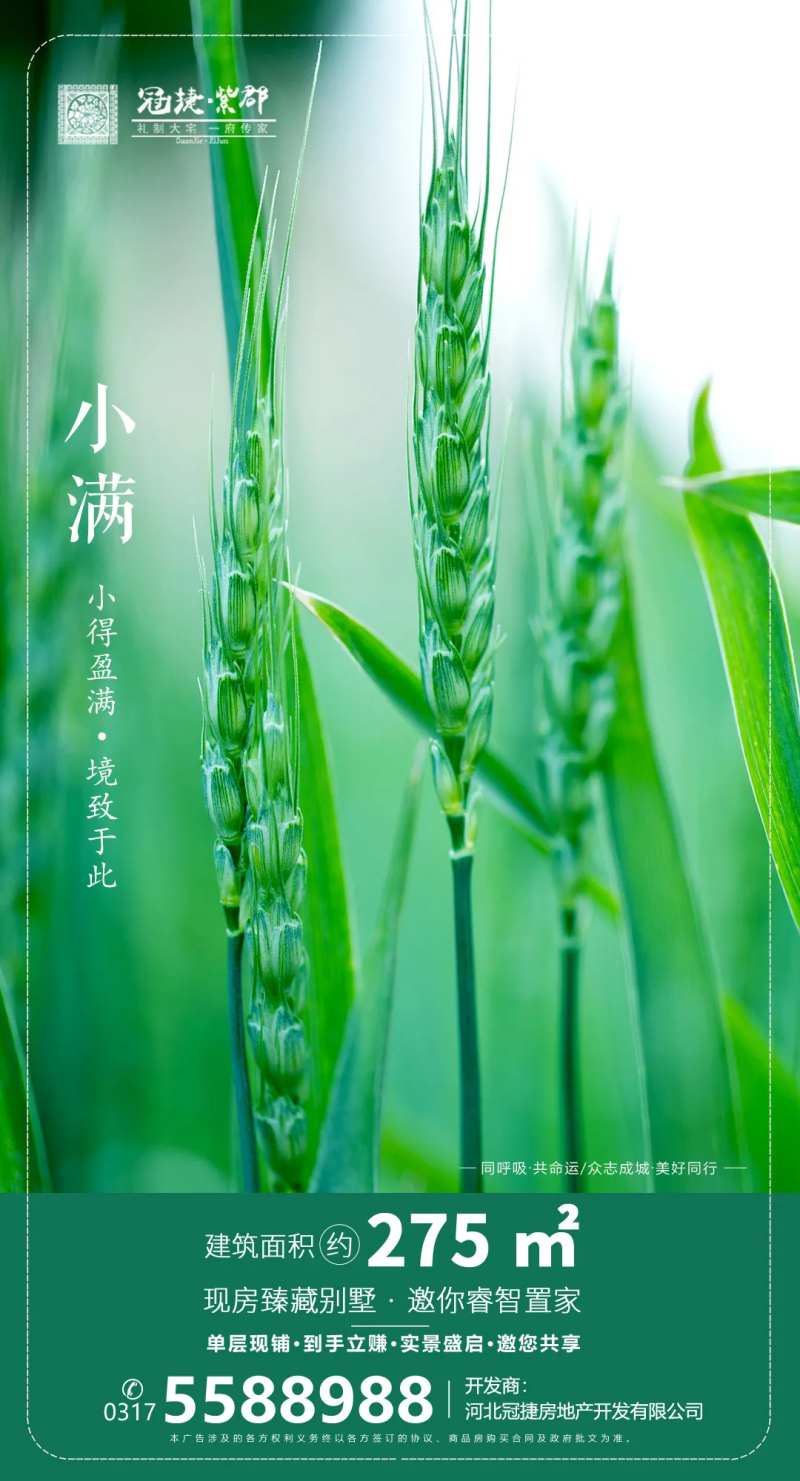小清新绿色小满节气-采灵感-cailinggan.com