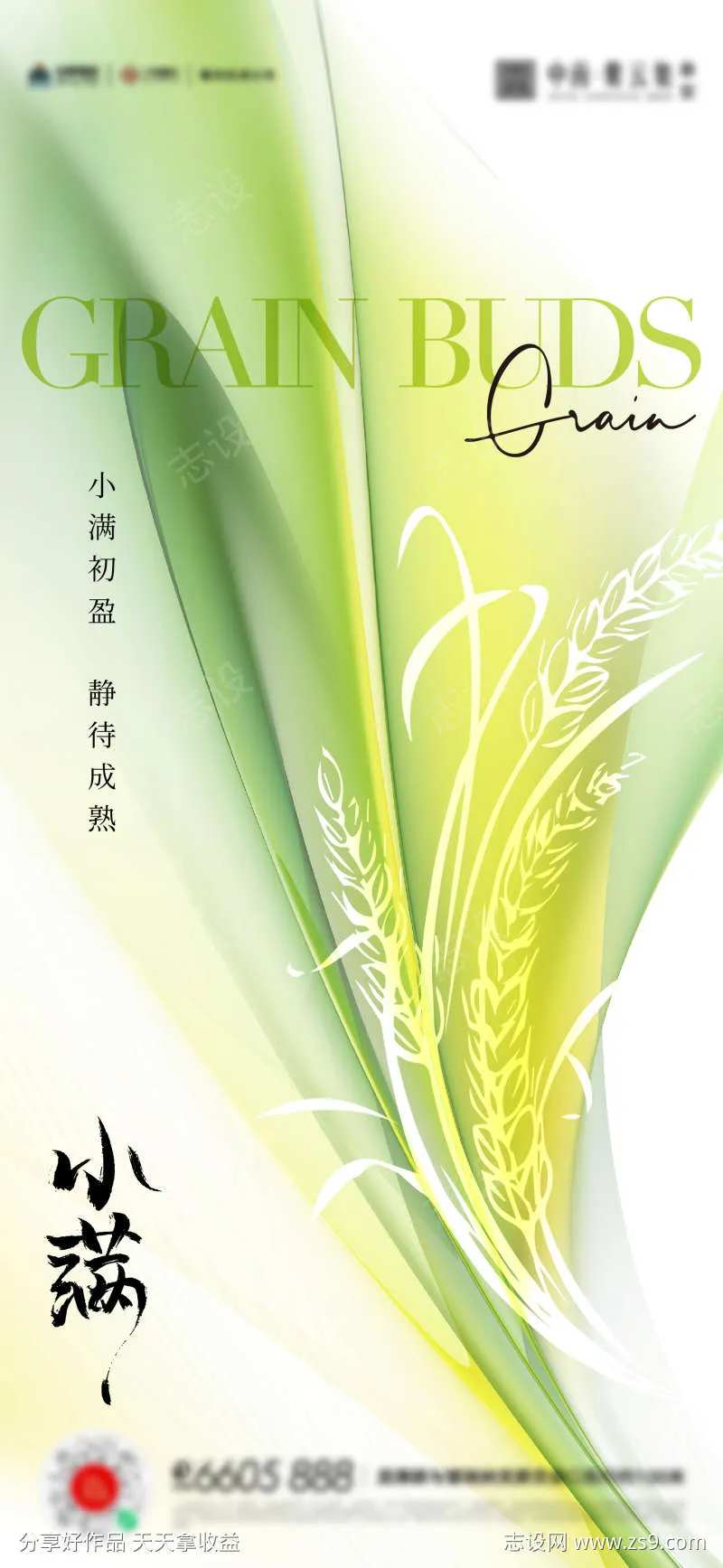 小满芒种夏至海报-采灵感-cailinggan.com