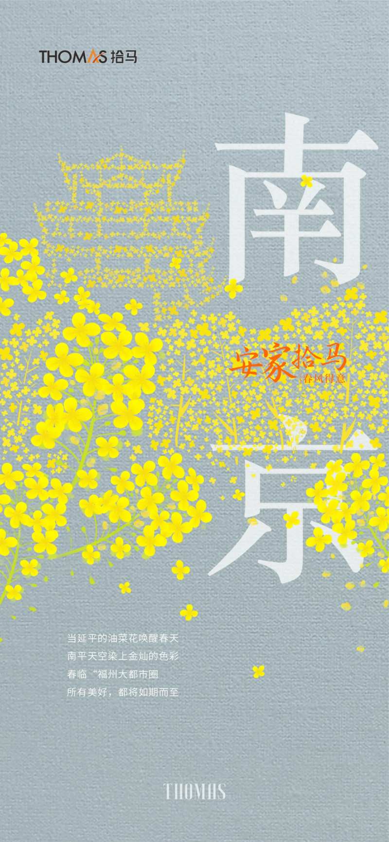 油菜花早安价值点海报-采灵感-cailinggan.com