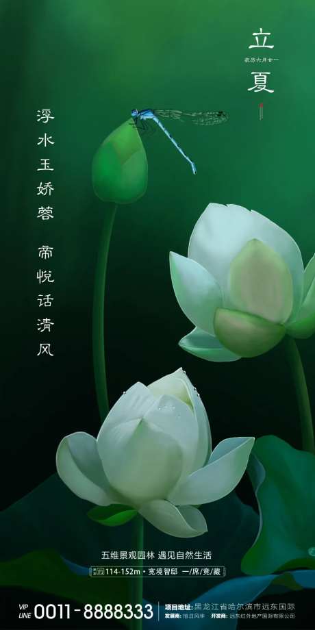 立夏微信-采灵感-https://www.cailinggan.com/
