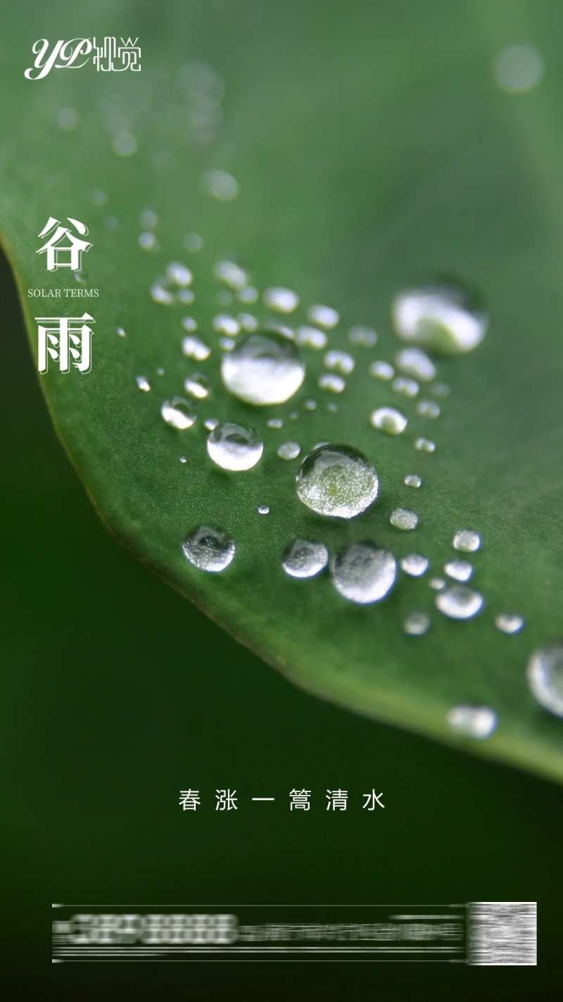 地产谷雨海报-采灵感-cailinggan.com