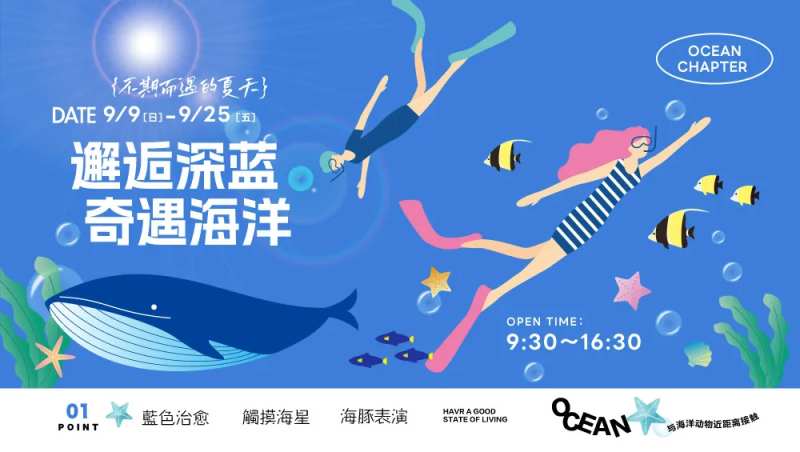水族馆海洋世界活动营销展板-采灵感-cailinggan.com