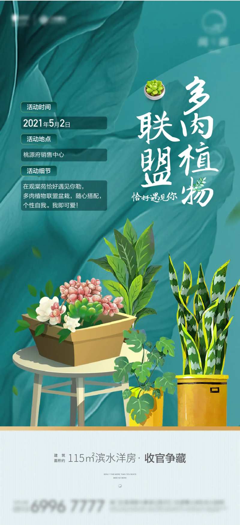 多肉暖场活动刷屏-采灵感-cailinggan.com