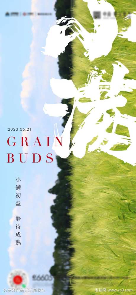 小满芒种夏至海报-采灵感-cailinggan.com