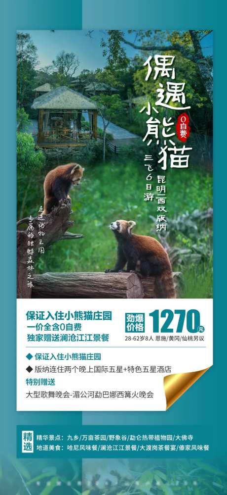 云南西双版纳旅游海报-采灵感-https://www.cailinggan.com/