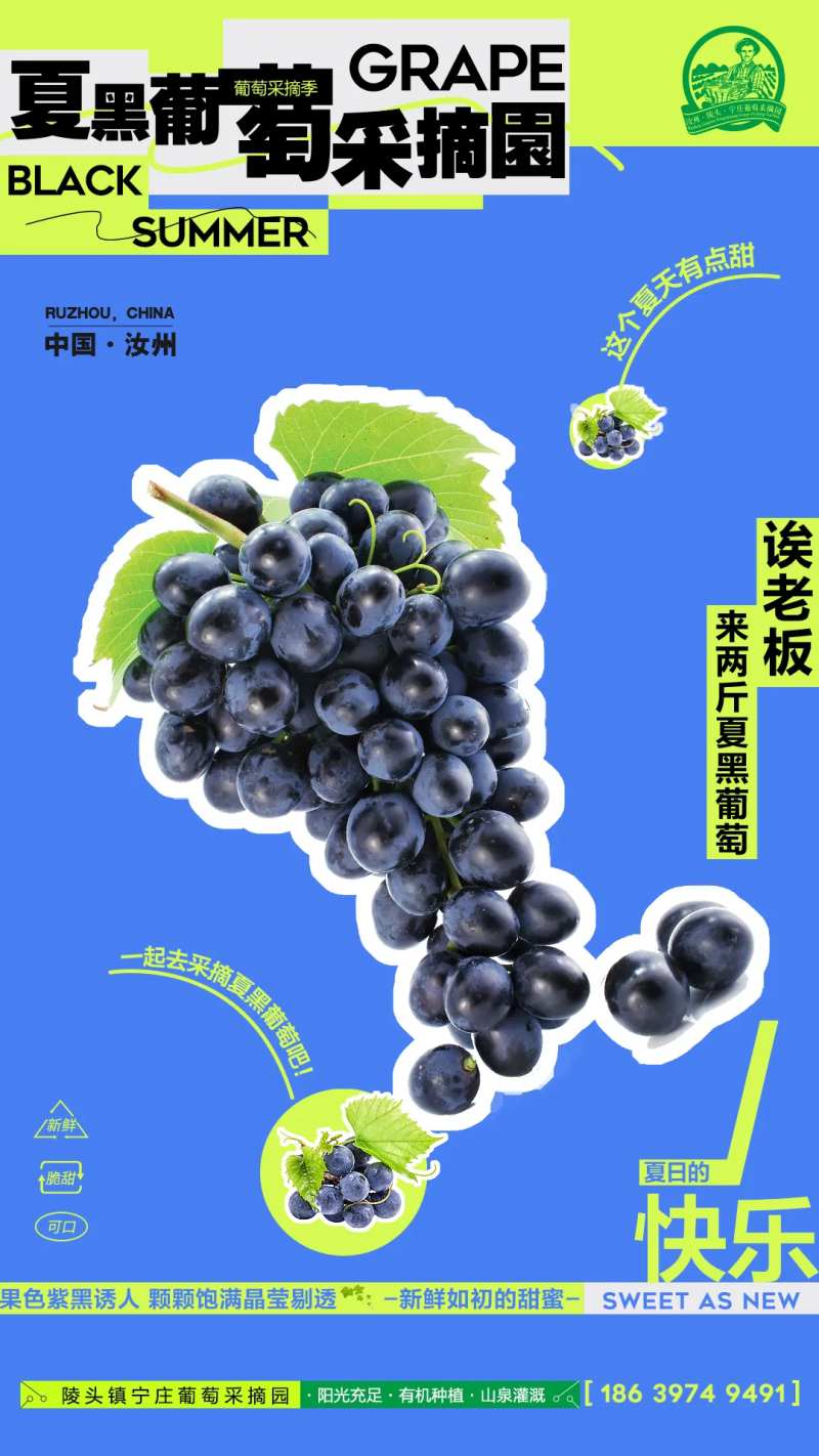 葡萄采摘海报-采灵感-cailinggan.com