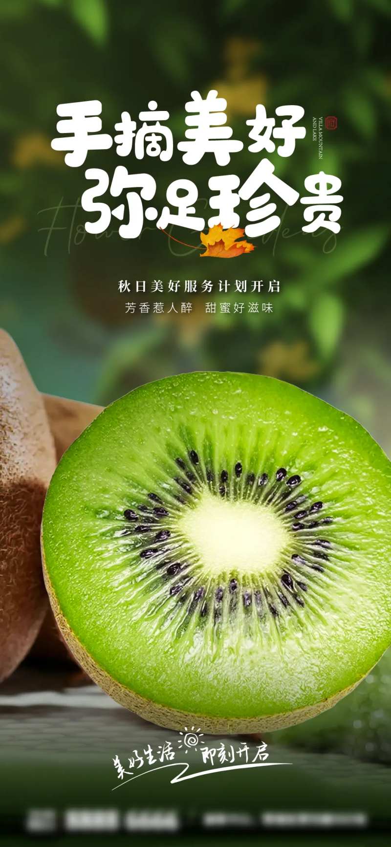 猕猴桃海报-采灵感-cailinggan.com