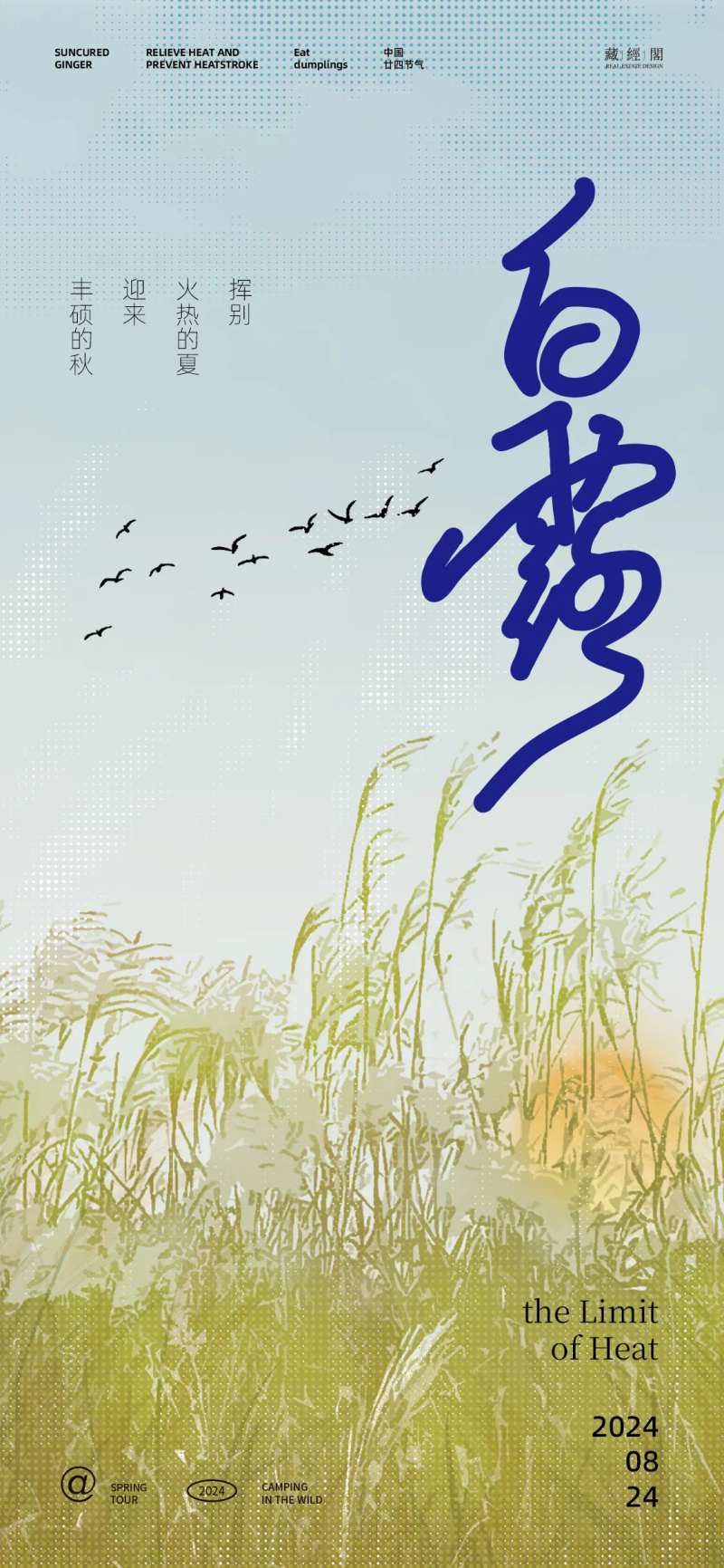 白露芦苇插画海报-采灵感-cailinggan.com