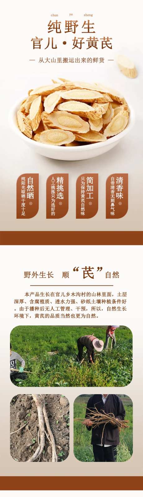 纯野生好黄芪详情页-采灵感-https://www.cailinggan.com/