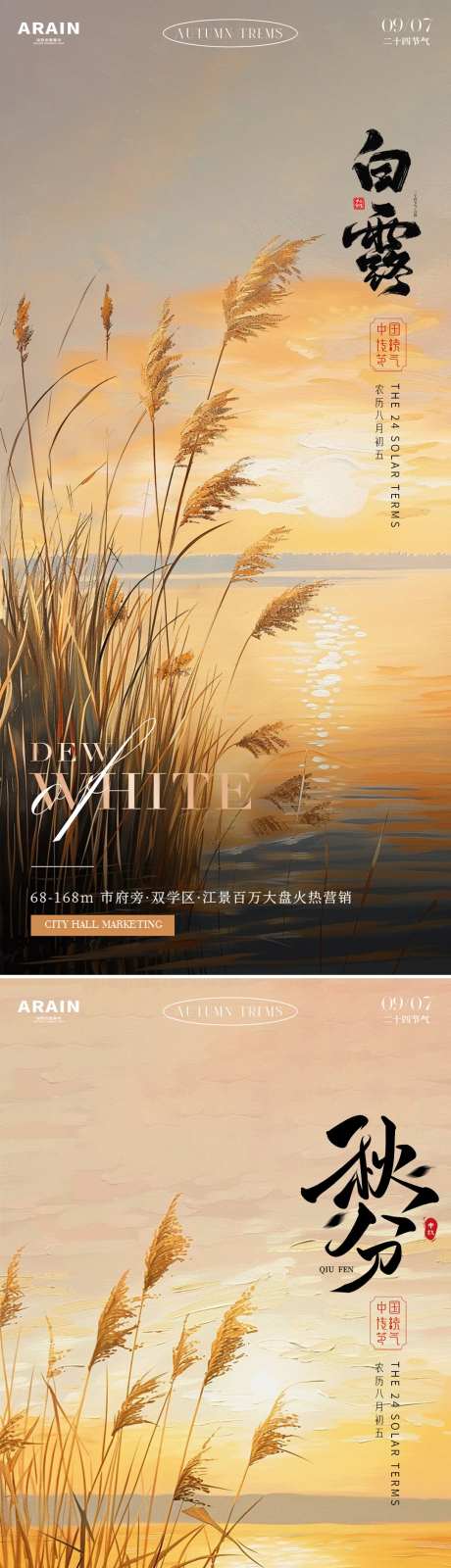 白露秋分芦苇风景系列海报-采灵感-https://www.cailinggan.com/