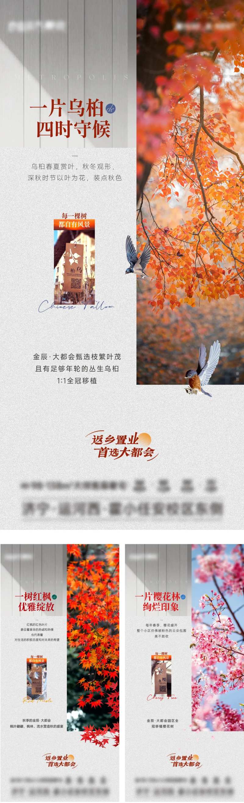 地产景观树树牌海报-采灵感-cailinggan.com