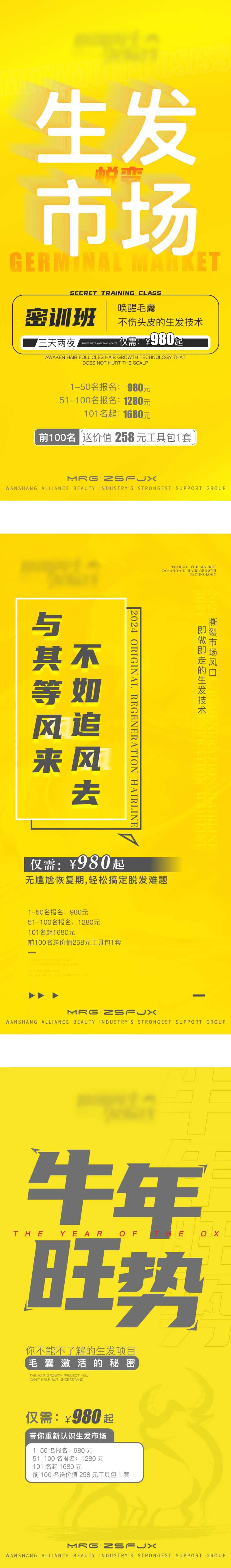 招商培训班海报-采灵感-cailinggan.com